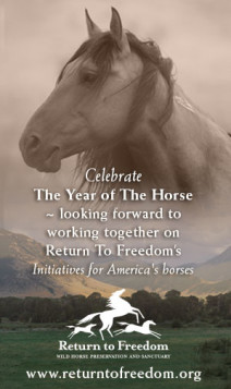 year-of-horse
